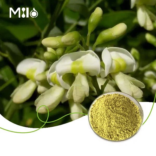 Quercetin Dihydrate Powder