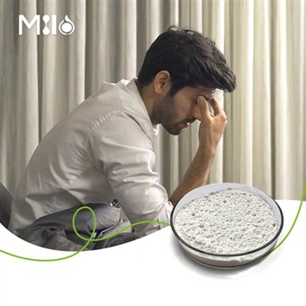 Gamma Oryzanol Prášek